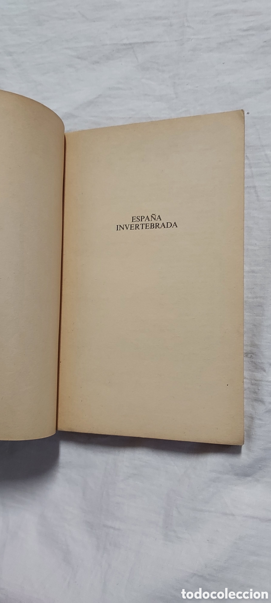Libros de segunda mano: ESPA&Ntilde;A INVERTEBRADA - Foto 8