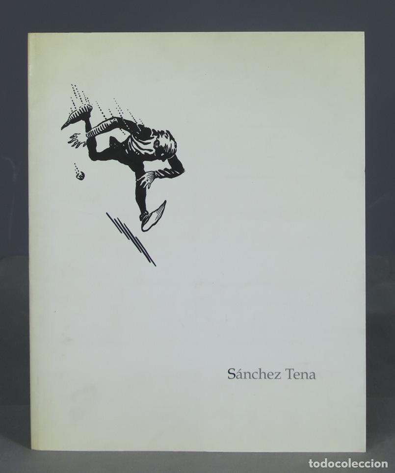 Libros de segunda mano: S&aacute;nchez Tena (Cat&aacute;logo exposici&oacute;n) - Foto 1
