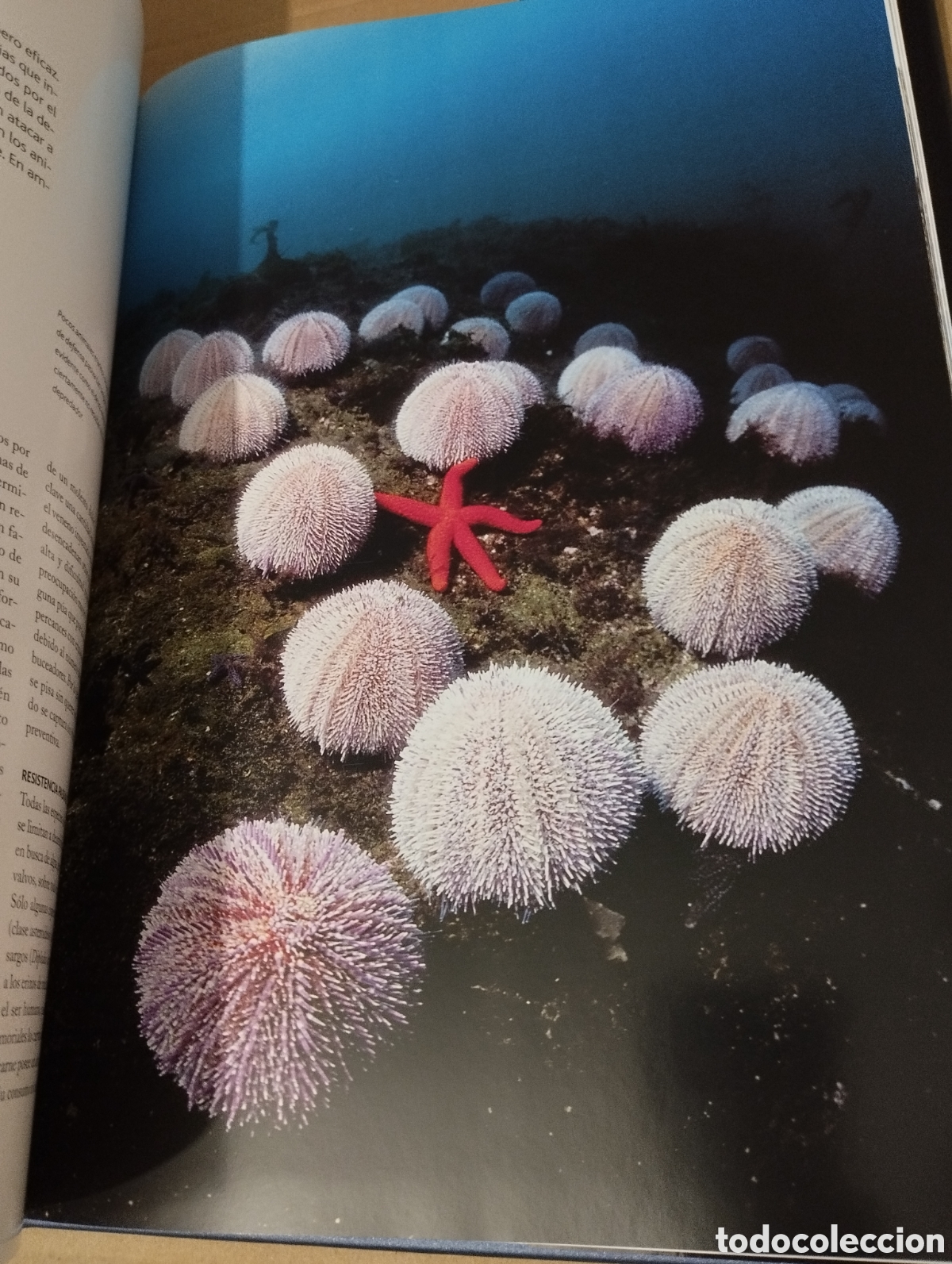 Libros de segunda mano: EL AGUA Y LA VIDA. EL HOMBRE Y EL MAR (PLANETA) - Foto 7