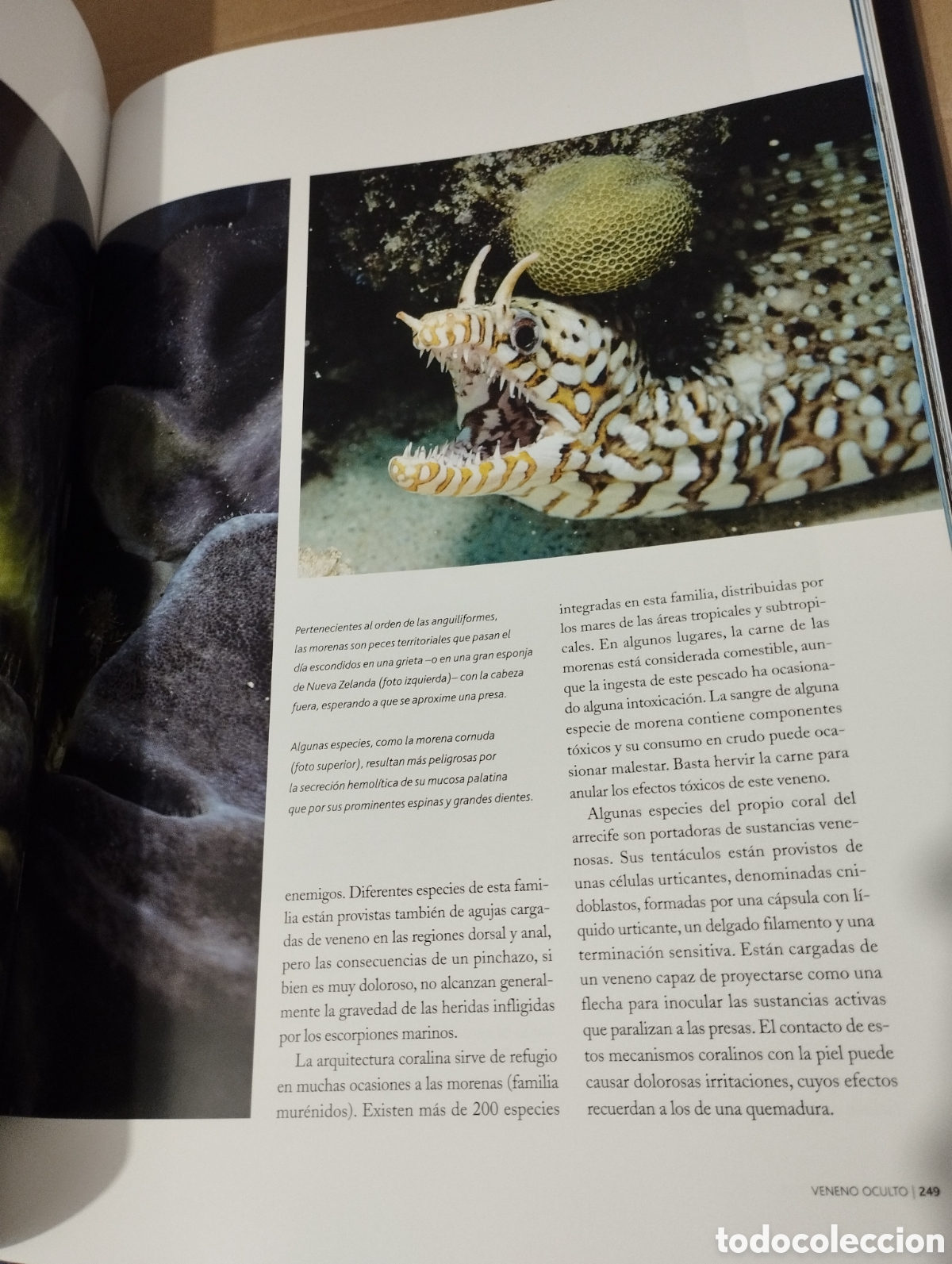 Libros de segunda mano: EL AGUA Y LA VIDA. EL HOMBRE Y EL MAR (PLANETA) - Foto 8