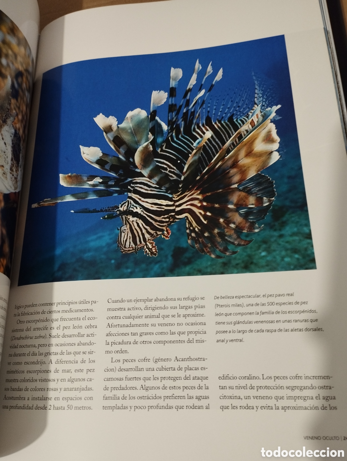Libros de segunda mano: EL AGUA Y LA VIDA. EL HOMBRE Y EL MAR (PLANETA) - Foto 9