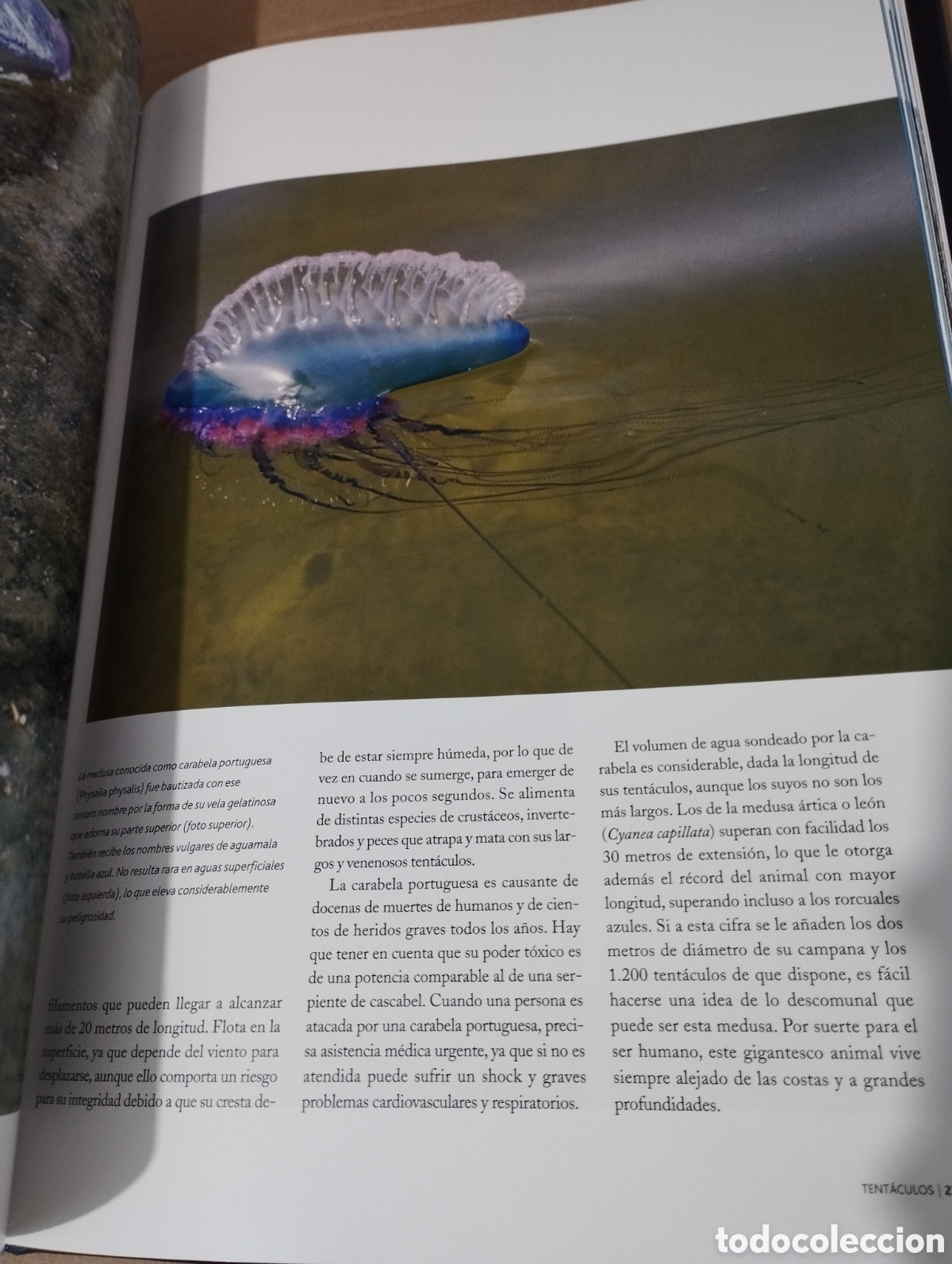 Libros de segunda mano: EL AGUA Y LA VIDA. EL HOMBRE Y EL MAR (PLANETA) - Foto 11