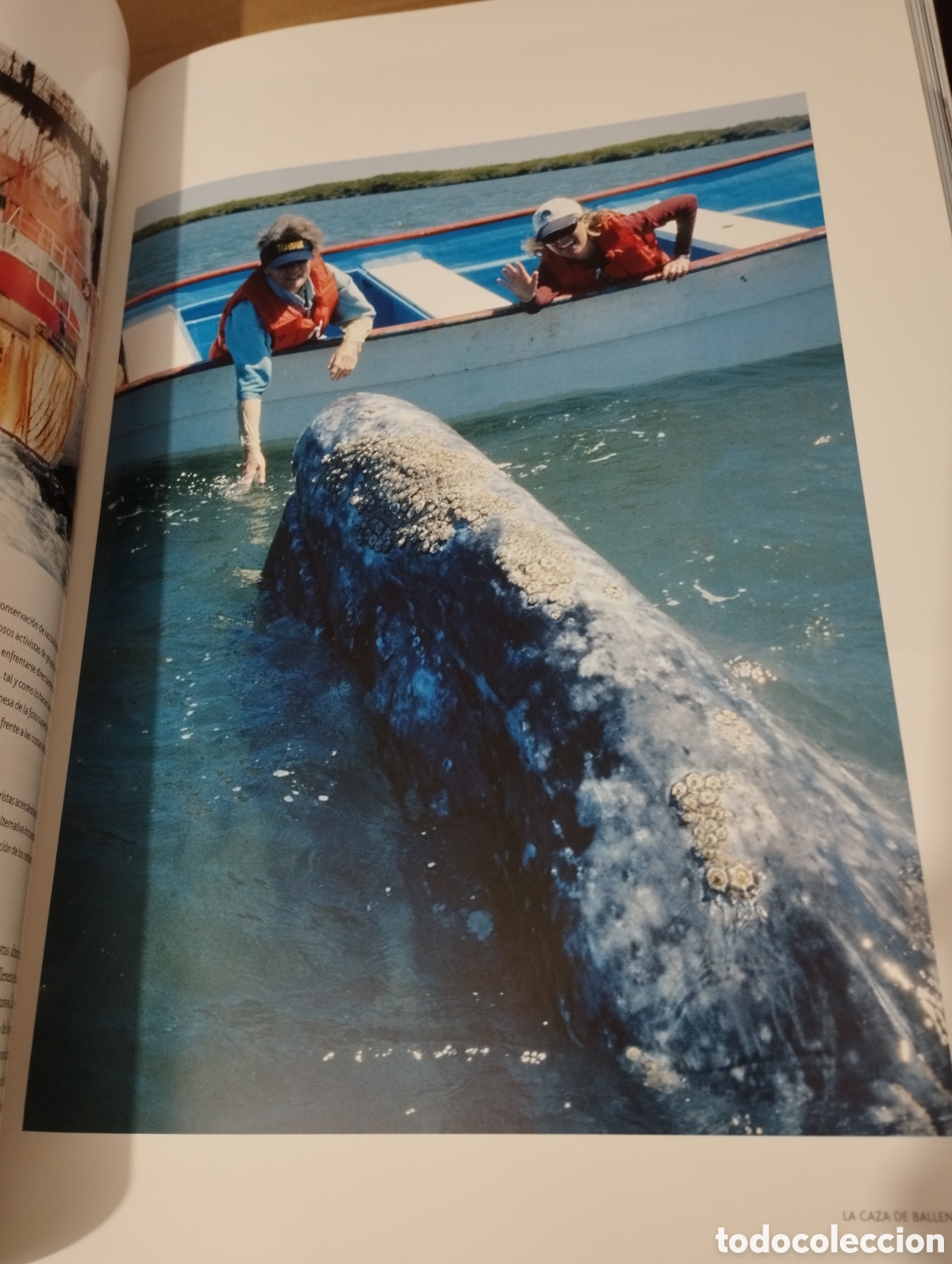 Libros de segunda mano: EL AGUA Y LA VIDA. EL HOMBRE Y EL MAR (PLANETA) - Foto 14