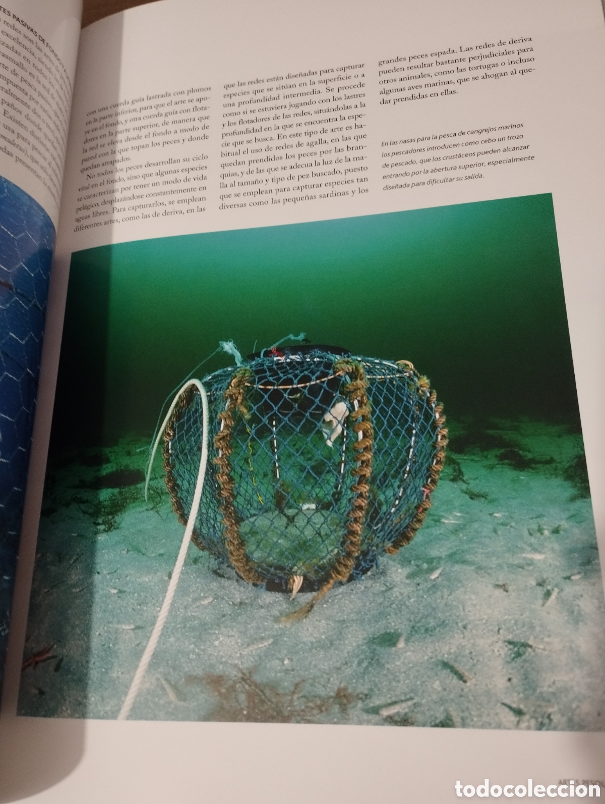 Libros de segunda mano: EL AGUA Y LA VIDA. EL HOMBRE Y EL MAR (PLANETA) - Foto 16