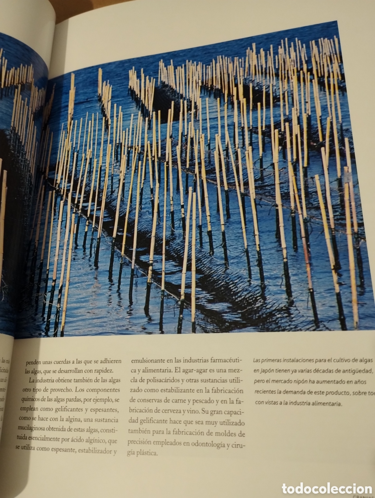 Libros de segunda mano: EL AGUA Y LA VIDA. EL HOMBRE Y EL MAR (PLANETA) - Foto 19