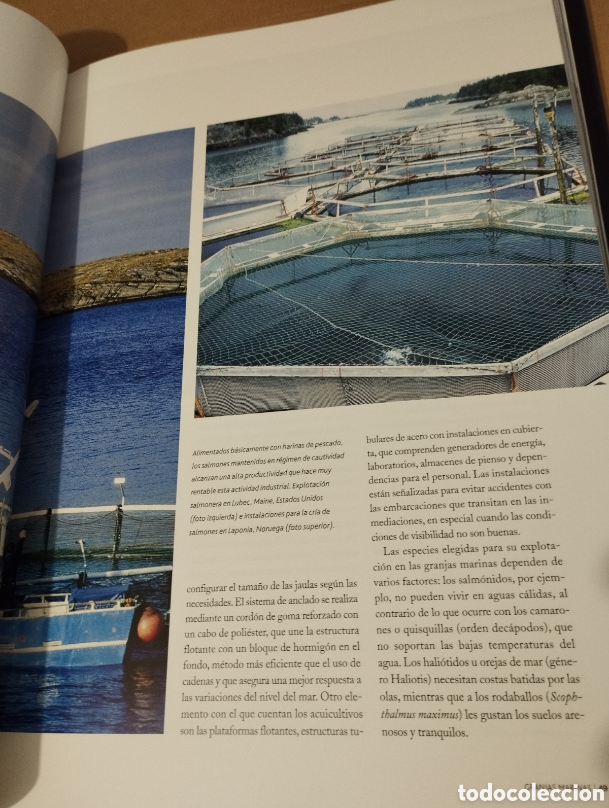 Libros de segunda mano: EL AGUA Y LA VIDA. EL HOMBRE Y EL MAR (PLANETA) - Foto 20