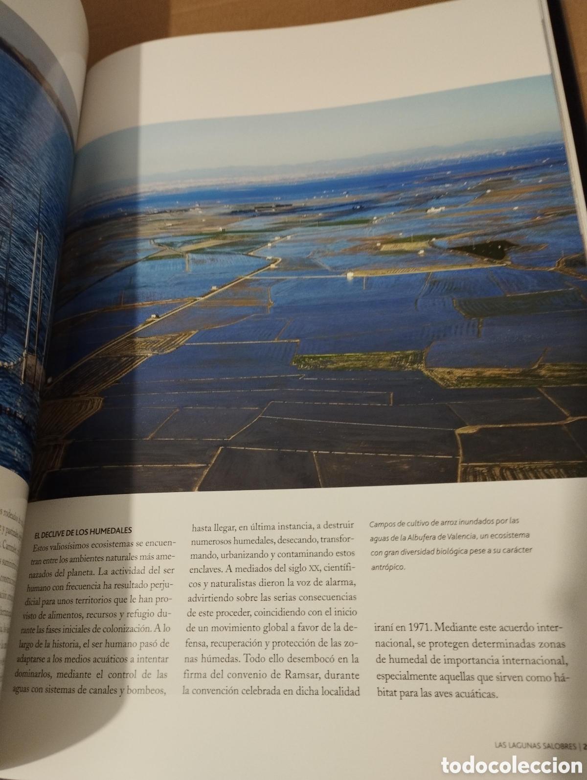 Libros de segunda mano: EL AGUA Y LA VIDA. LA VIDA Y EL MAR (PLANETA) - Foto 7