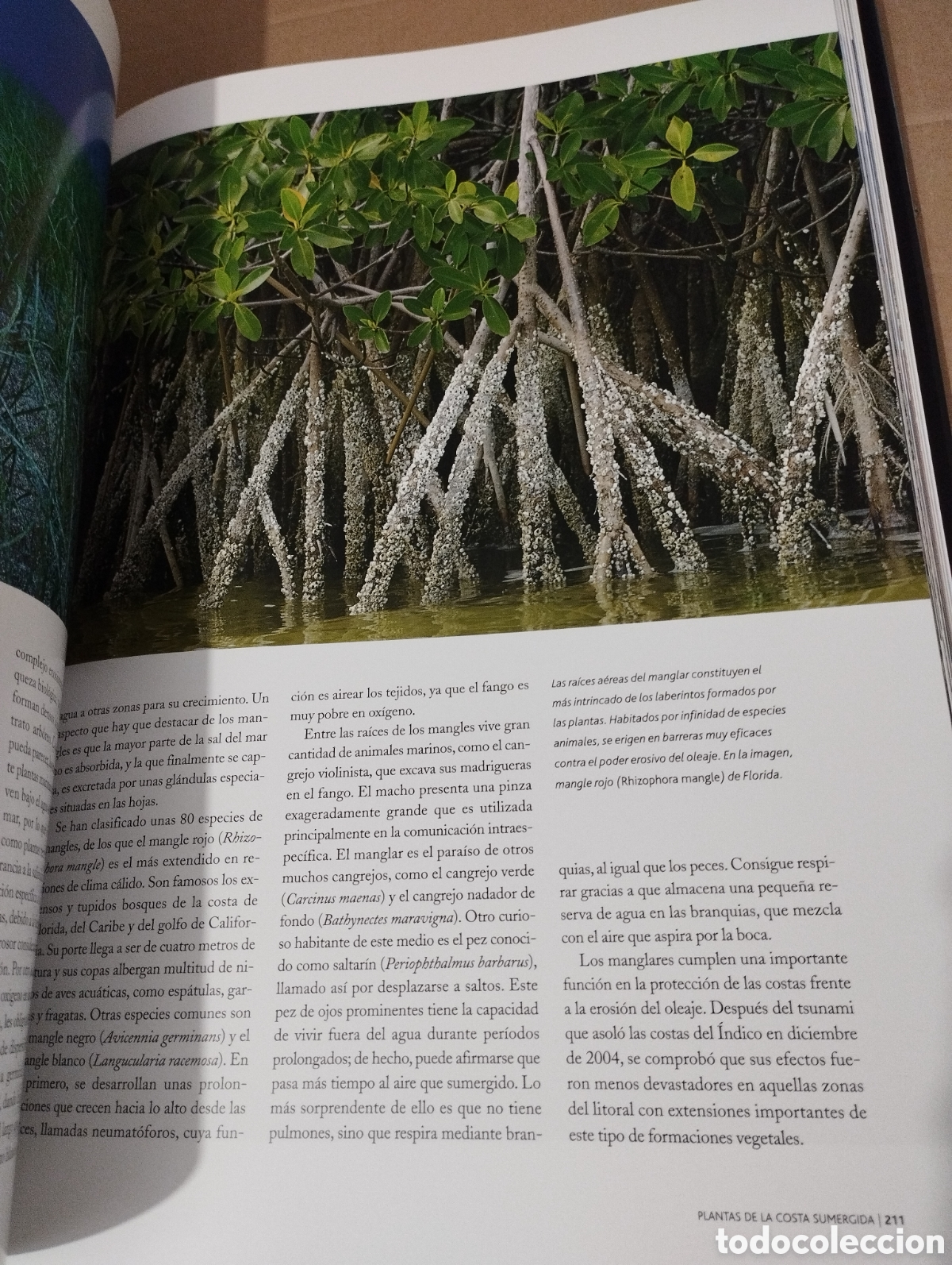 Libros de segunda mano: EL AGUA Y LA VIDA. LA VIDA Y EL MAR (PLANETA) - Foto 9