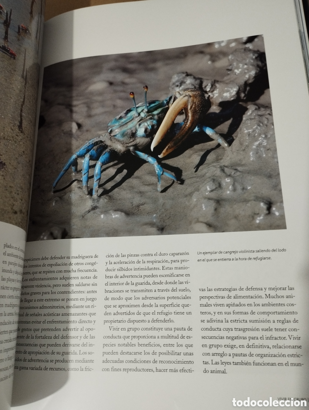 Libros de segunda mano: EL AGUA Y LA VIDA. LA VIDA Y EL MAR (PLANETA) - Foto 10