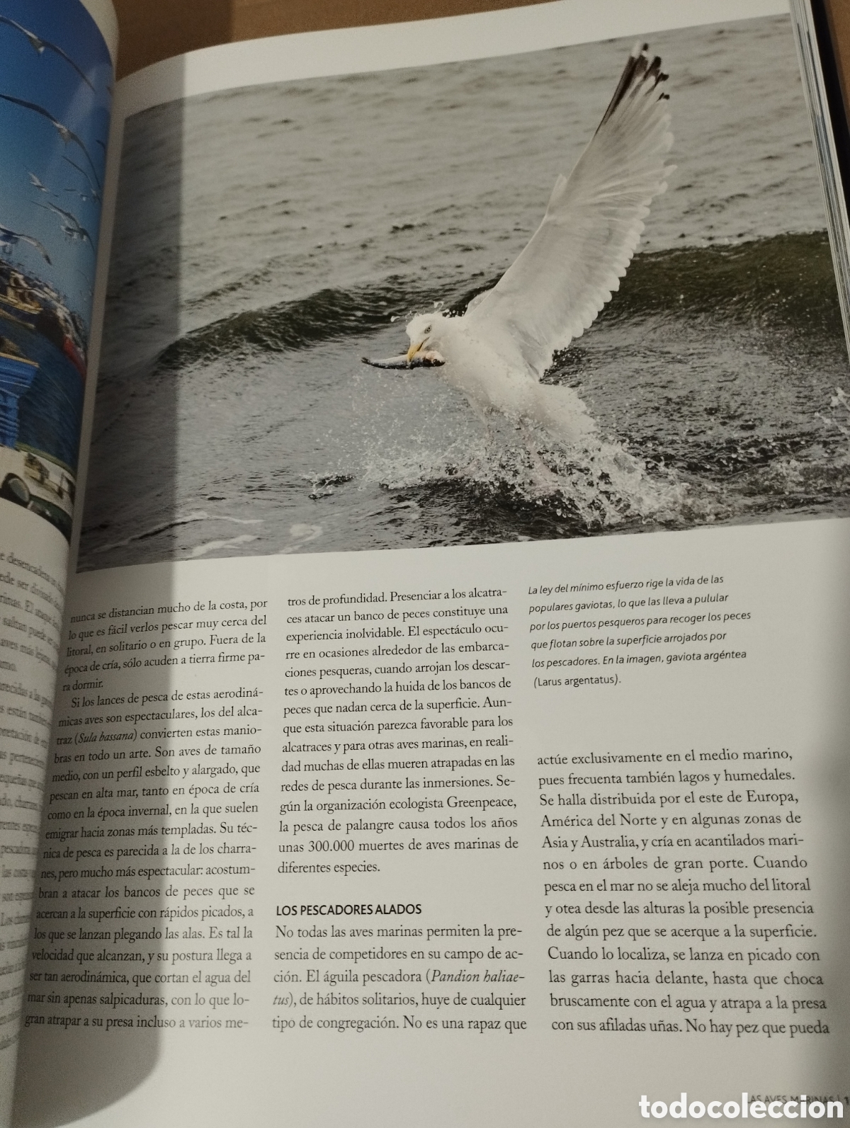 Libros de segunda mano: EL AGUA Y LA VIDA. LA VIDA Y EL MAR (PLANETA) - Foto 12