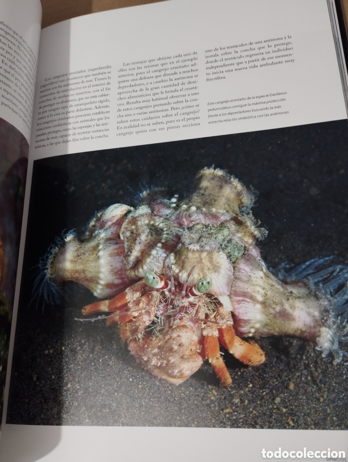 Libros de segunda mano: EL AGUA Y LA VIDA. LA VIDA Y EL MAR (PLANETA) - Foto 13