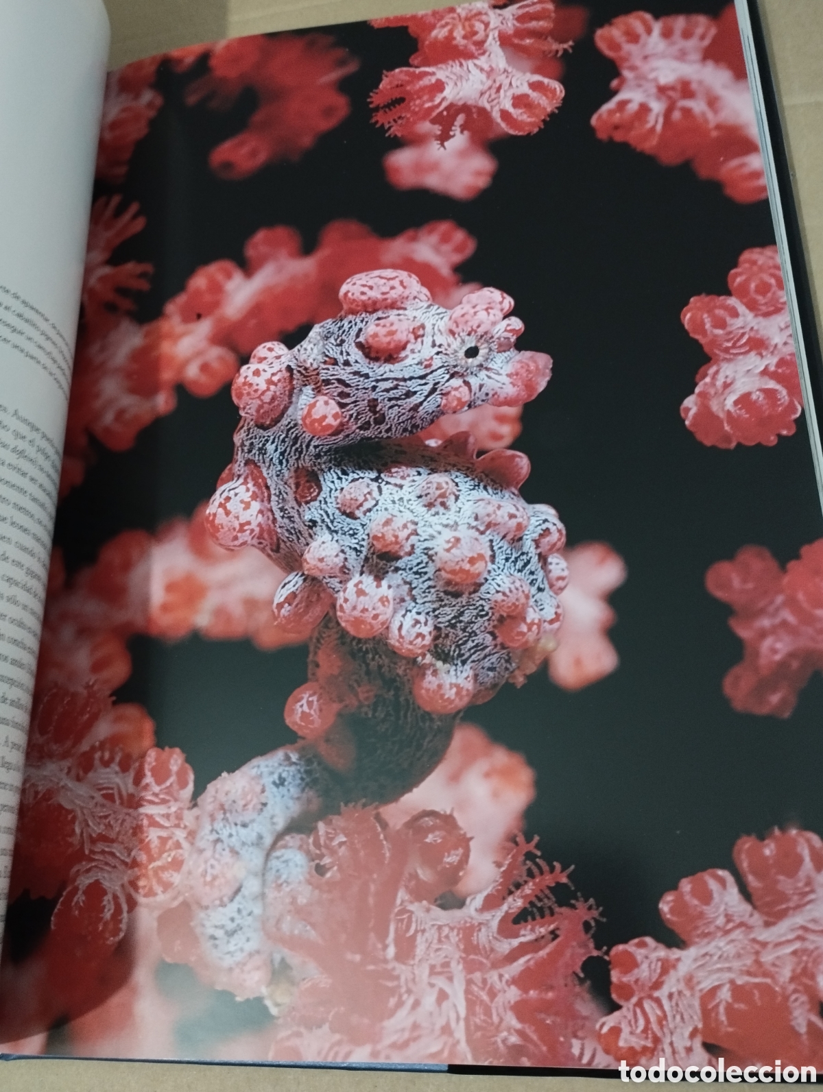 Libros de segunda mano: EL AGUA Y LA VIDA. LA VIDA Y EL MAR (PLANETA) - Foto 17