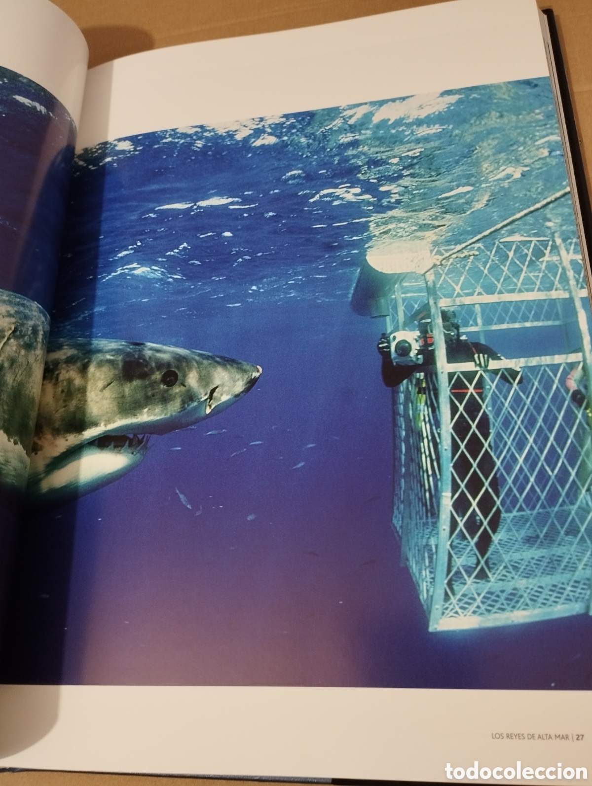 Libros de segunda mano: EL AGUA Y LA VIDA. LA VIDA Y EL MAR (PLANETA) - Foto 18