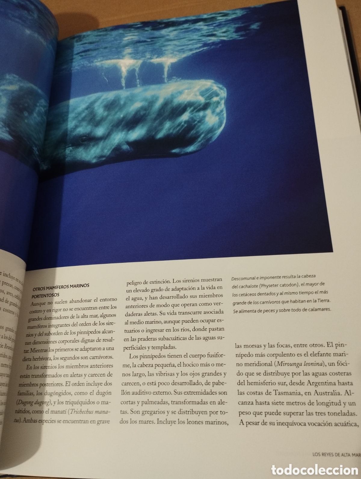 Libros de segunda mano: EL AGUA Y LA VIDA. LA VIDA Y EL MAR (PLANETA) - Foto 19