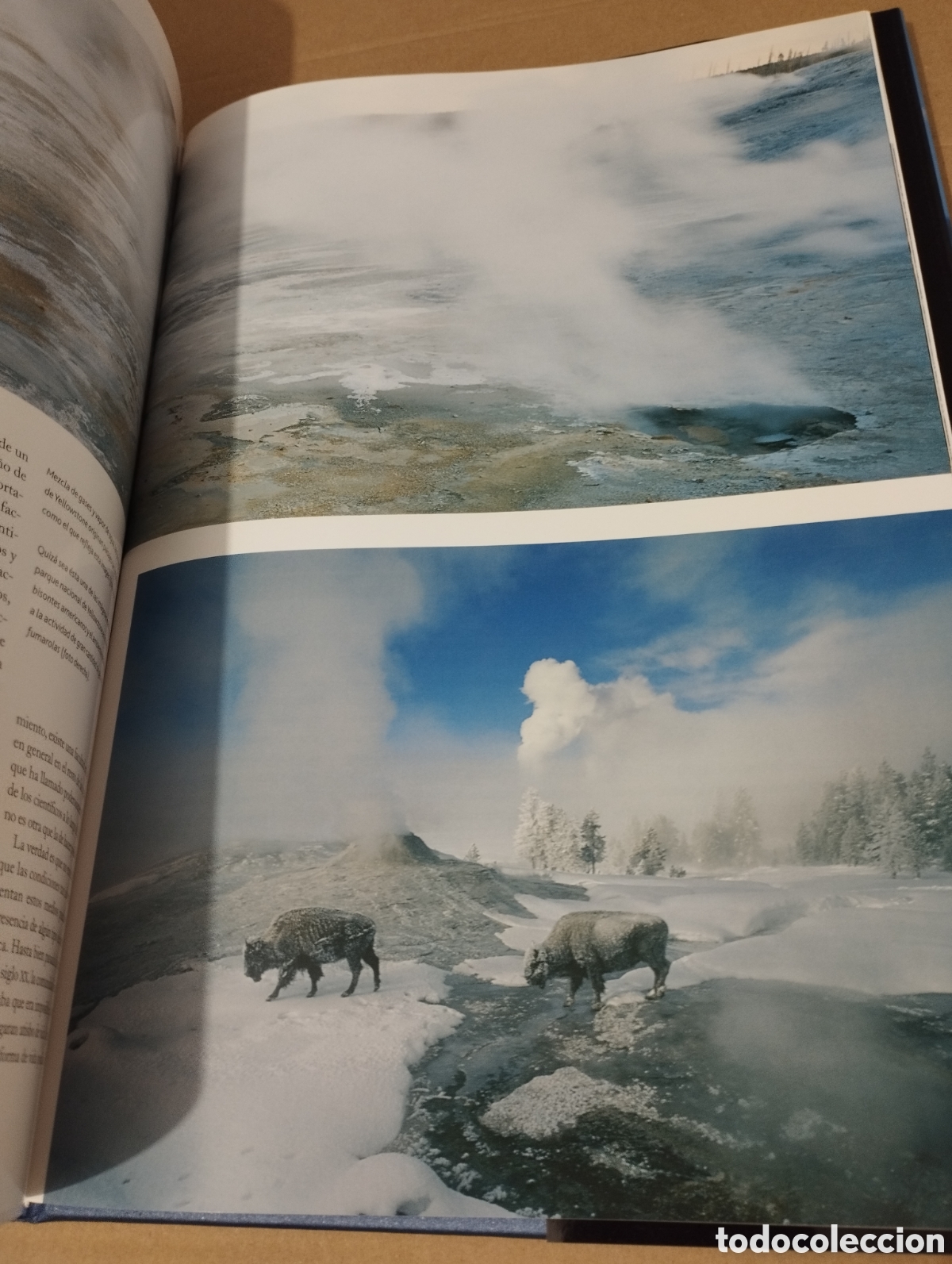 Libros de segunda mano: EL AGUA Y LA VIDA. EL PLANETA AZUL (PLANETA) - Foto 3