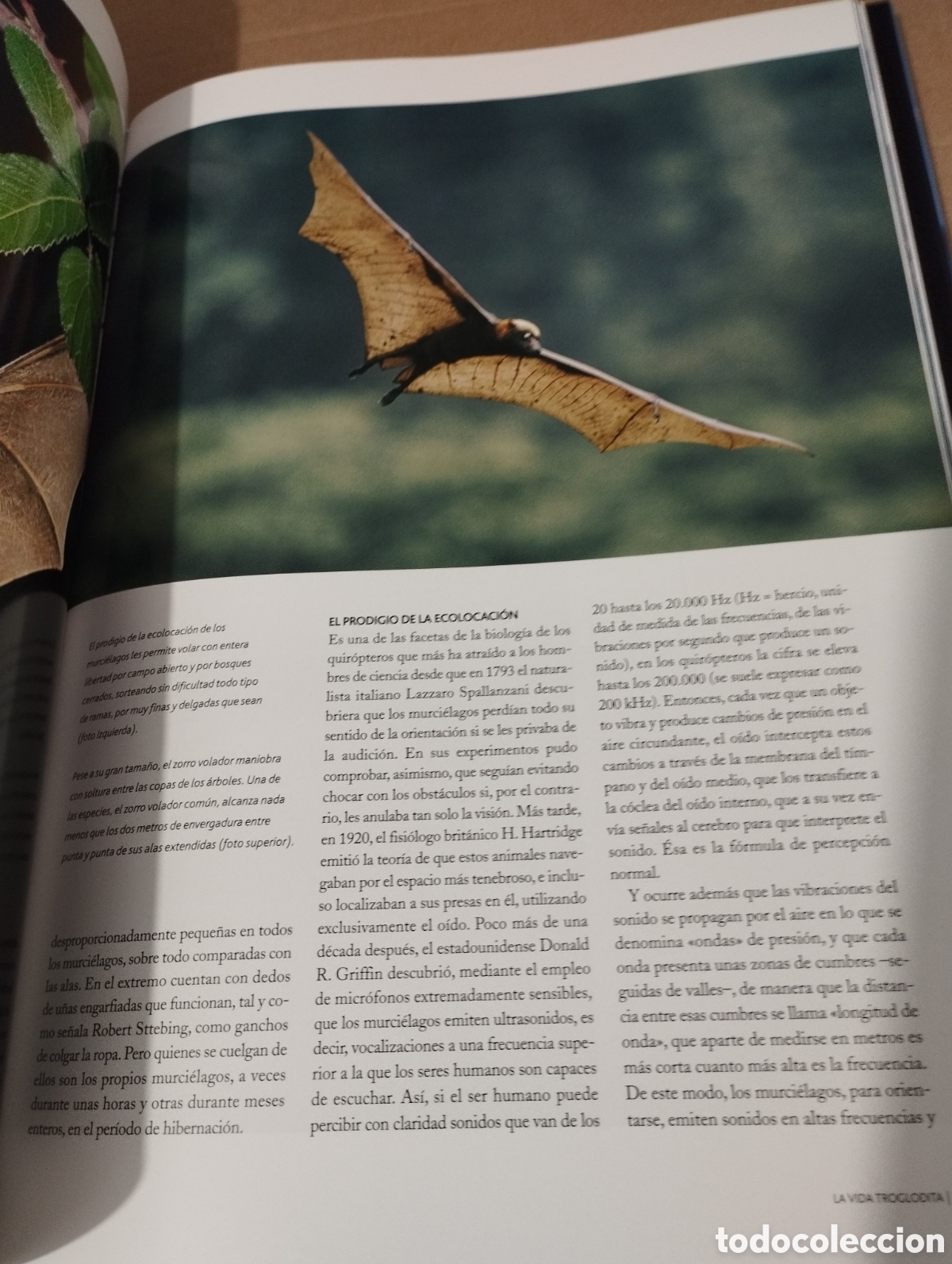 Libros de segunda mano: EL AGUA Y LA VIDA. EL PLANETA AZUL (PLANETA) - Foto 5