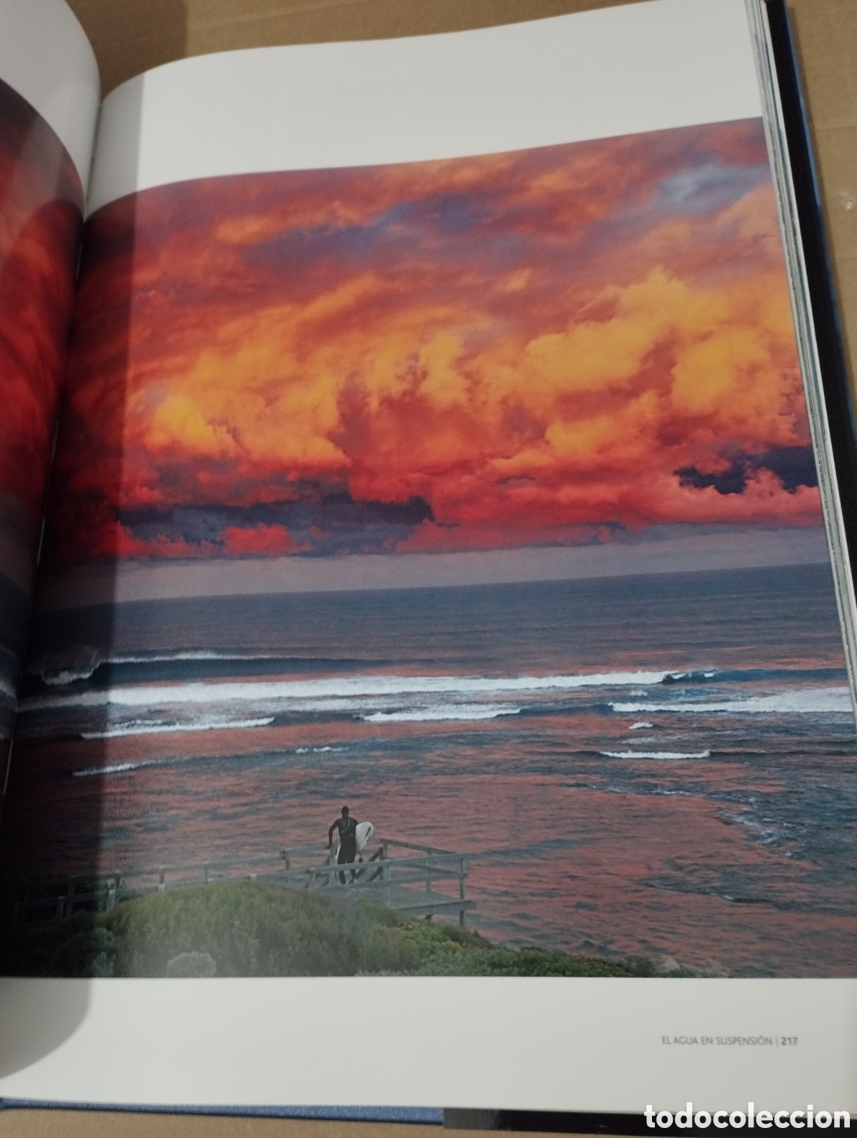Libros de segunda mano: EL AGUA Y LA VIDA. EL PLANETA AZUL (PLANETA) - Foto 8