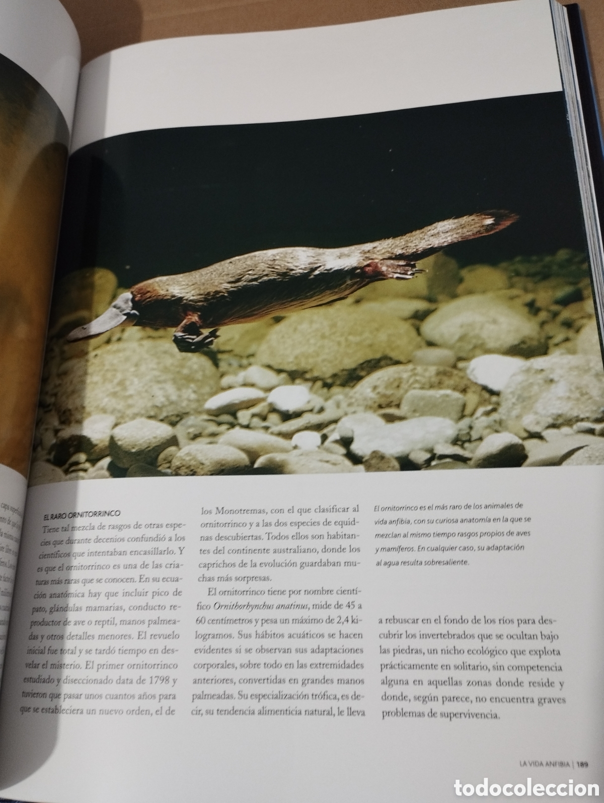Libros de segunda mano: EL AGUA Y LA VIDA. EL PLANETA AZUL (PLANETA) - Foto 10