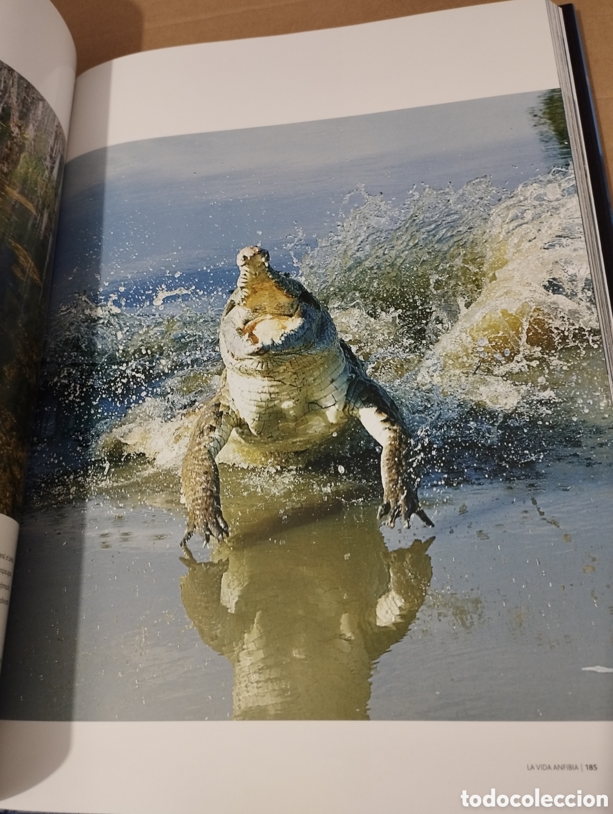 Libros de segunda mano: EL AGUA Y LA VIDA. EL PLANETA AZUL (PLANETA) - Foto 11