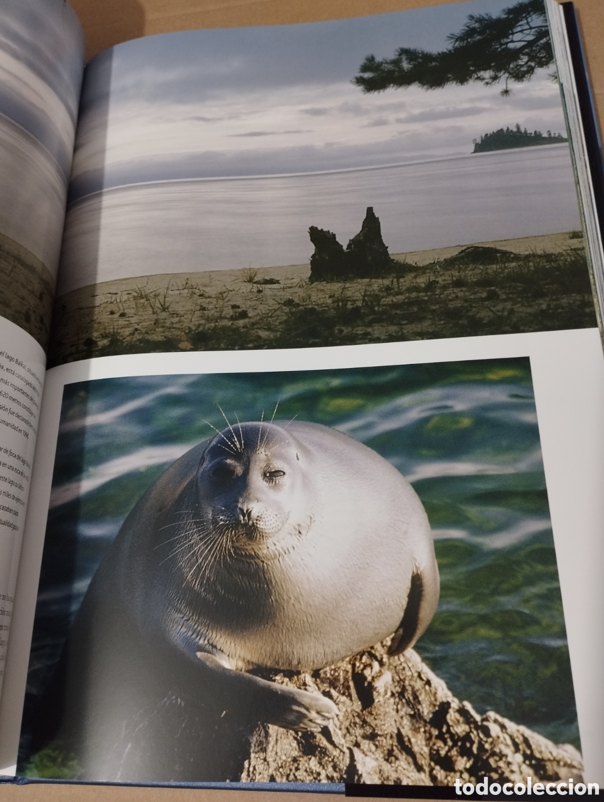 Libros de segunda mano: EL AGUA Y LA VIDA. EL PLANETA AZUL (PLANETA) - Foto 12
