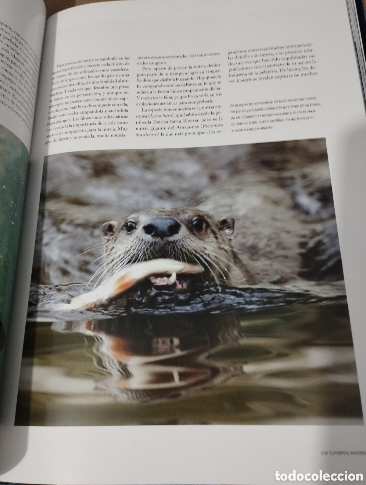 Libros de segunda mano: EL AGUA Y LA VIDA. EL PLANETA AZUL (PLANETA) - Foto 13