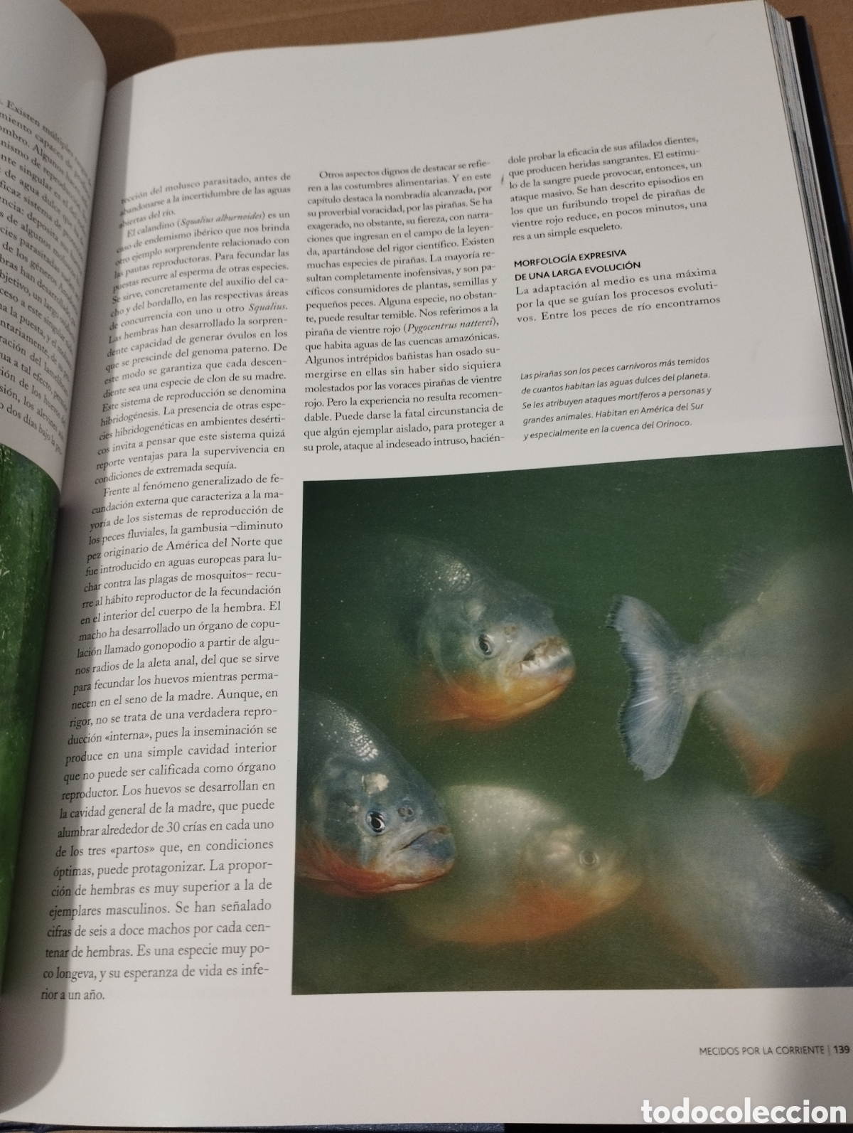 Libros de segunda mano: EL AGUA Y LA VIDA. EL PLANETA AZUL (PLANETA) - Foto 14