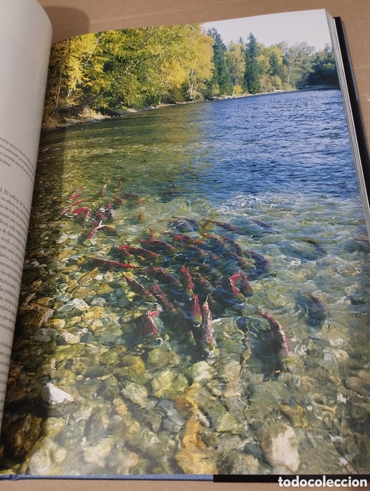 Libros de segunda mano: EL AGUA Y LA VIDA. EL PLANETA AZUL (PLANETA) - Foto 15