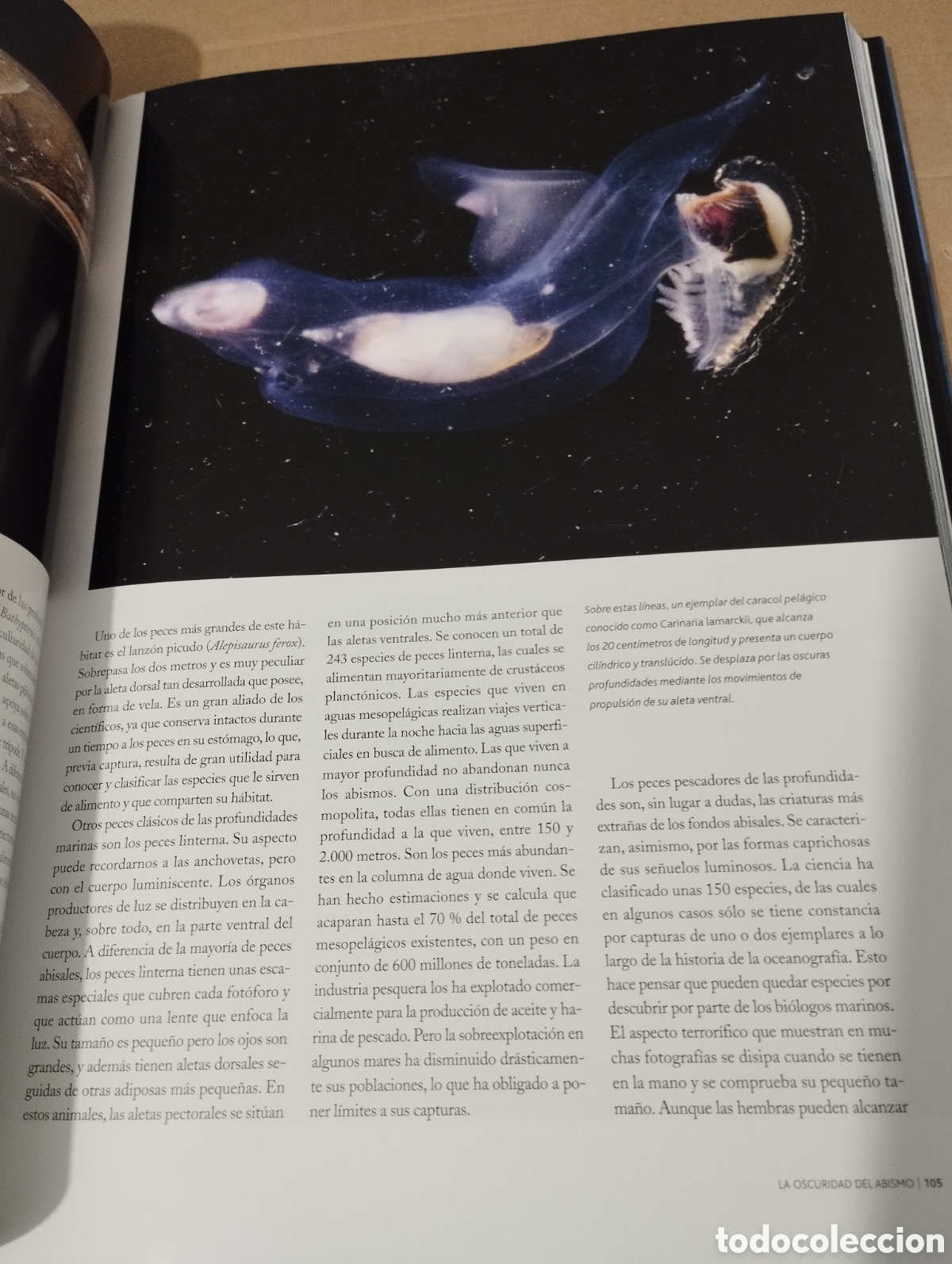 Libros de segunda mano: EL AGUA Y LA VIDA. EL PLANETA AZUL (PLANETA) - Foto 17
