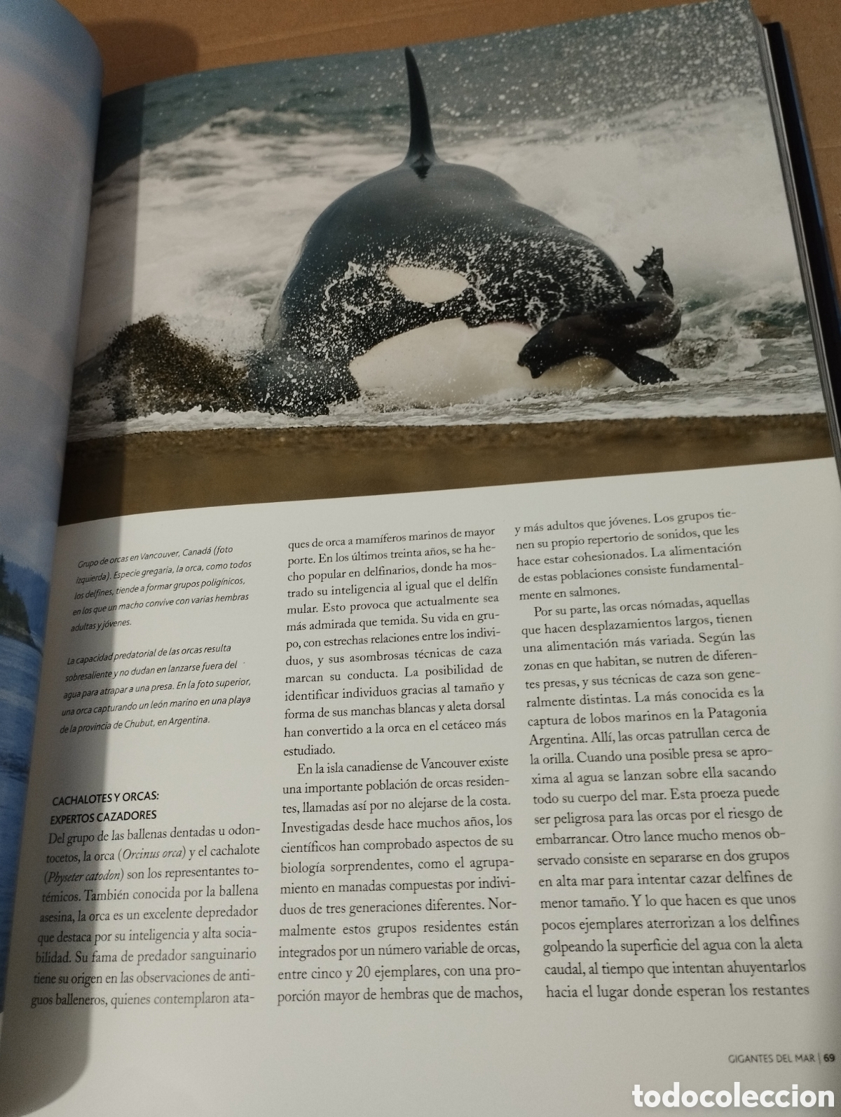 Libros de segunda mano: EL AGUA Y LA VIDA. EL PLANETA AZUL (PLANETA) - Foto 18
