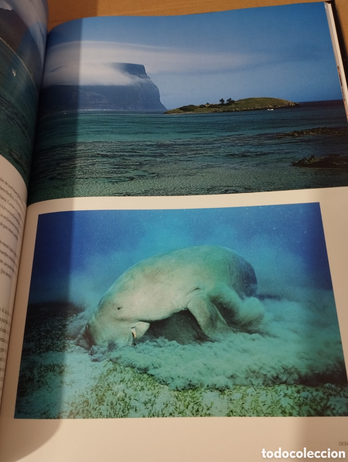 Libros de segunda mano: EL AGUA Y LA VIDA. LA CUNA DE LA VIDA (PLANETA) - Foto 4