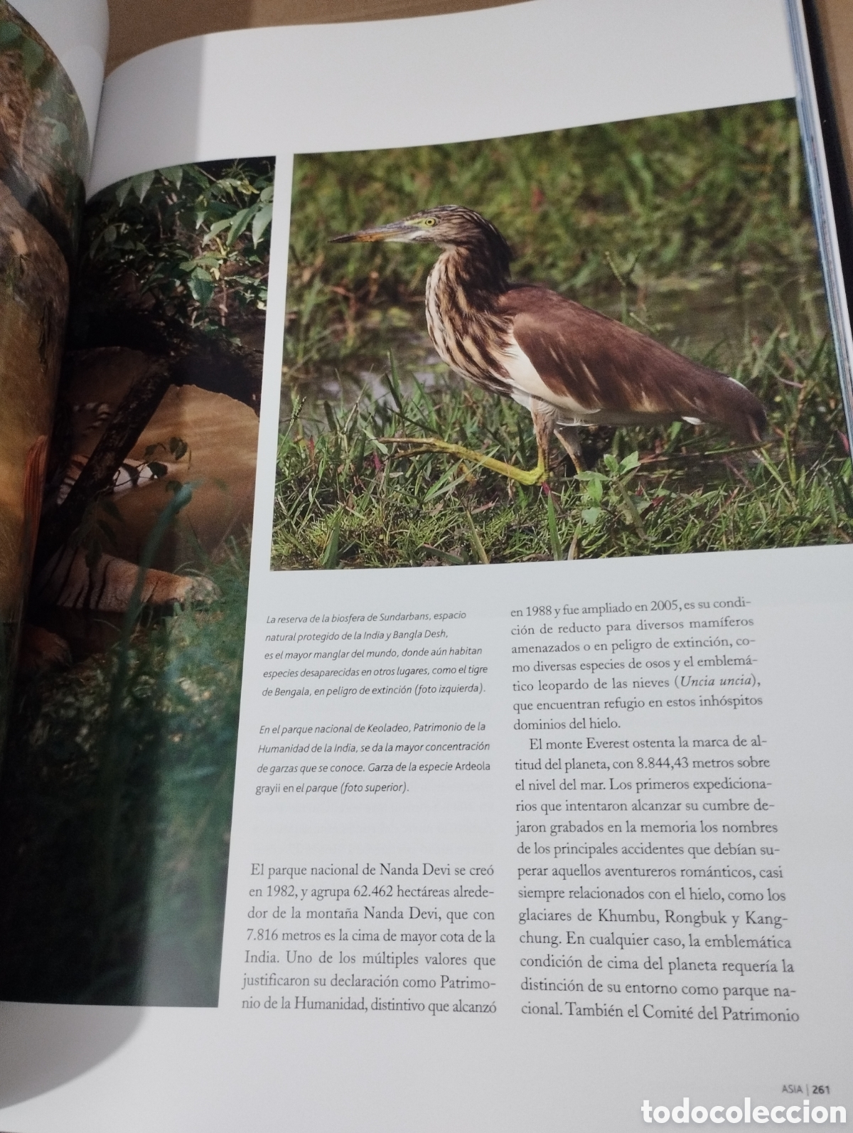 Libros de segunda mano: EL AGUA Y LA VIDA. LA CUNA DE LA VIDA (PLANETA) - Foto 5