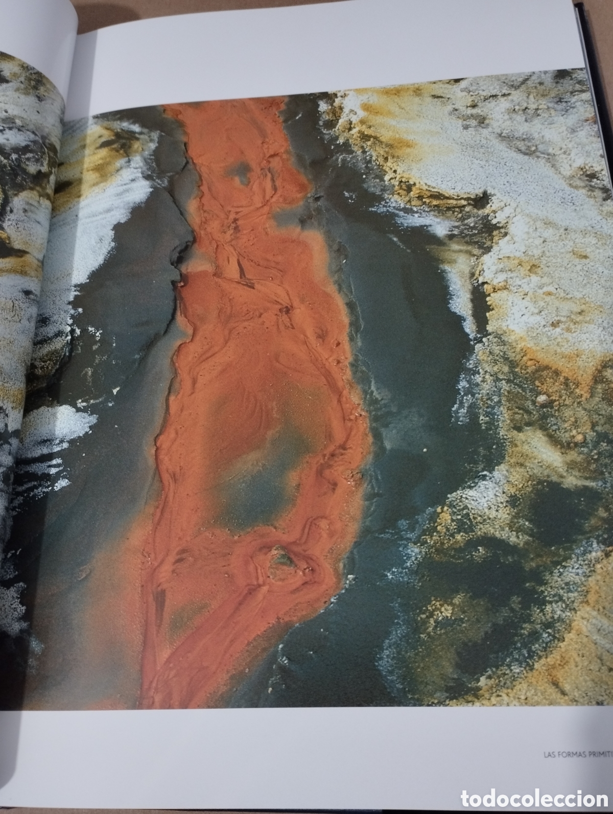 Libros de segunda mano: EL AGUA Y LA VIDA. LA CUNA DE LA VIDA (PLANETA) - Foto 16