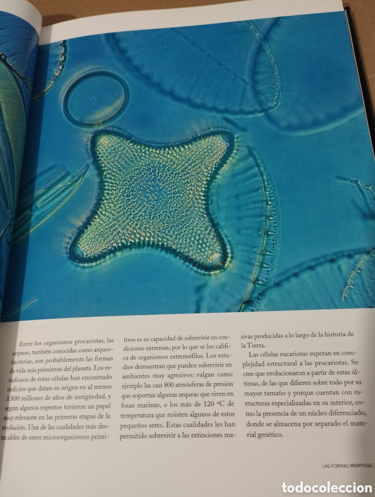 Libros de segunda mano: EL AGUA Y LA VIDA. LA CUNA DE LA VIDA (PLANETA) - Foto 17