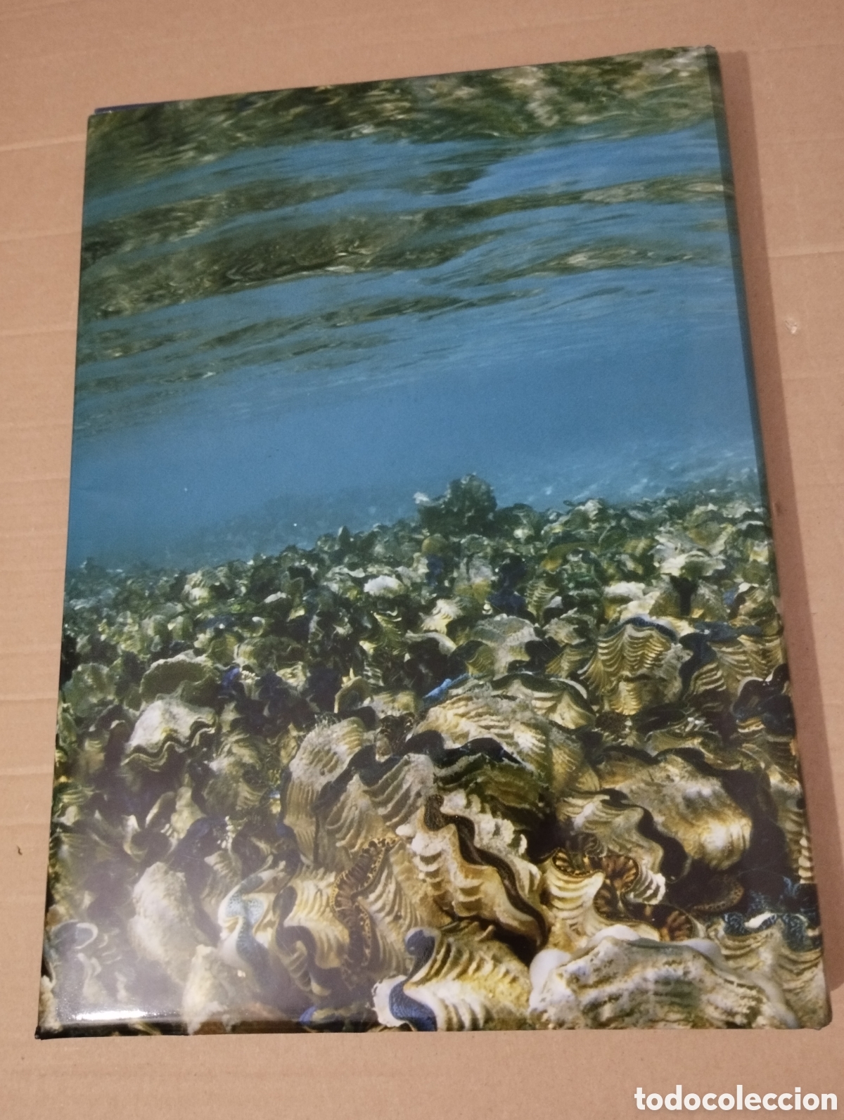 Libros de segunda mano: EL AGUA Y LA VIDA. LA CUNA DE LA VIDA (PLANETA) - Foto 18
