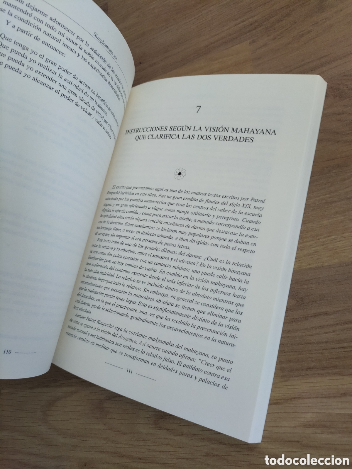 Libros de segunda mano: Simplemente ser. Textos de la tradici&oacute;n dsogchen. James Low. - Foto 3