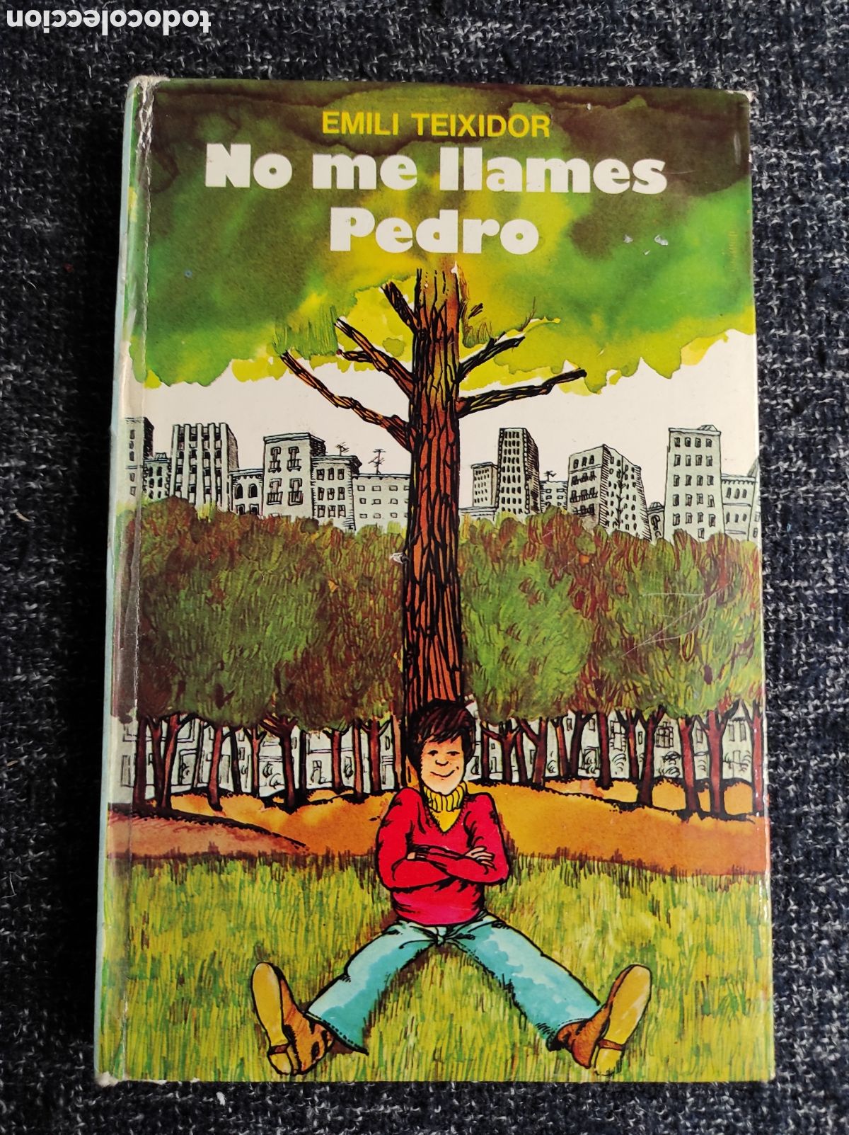 Libros de segunda mano: NO ME LLAMES PEDRO / AUTOR: EMILI TEIXIDOR - Foto 1