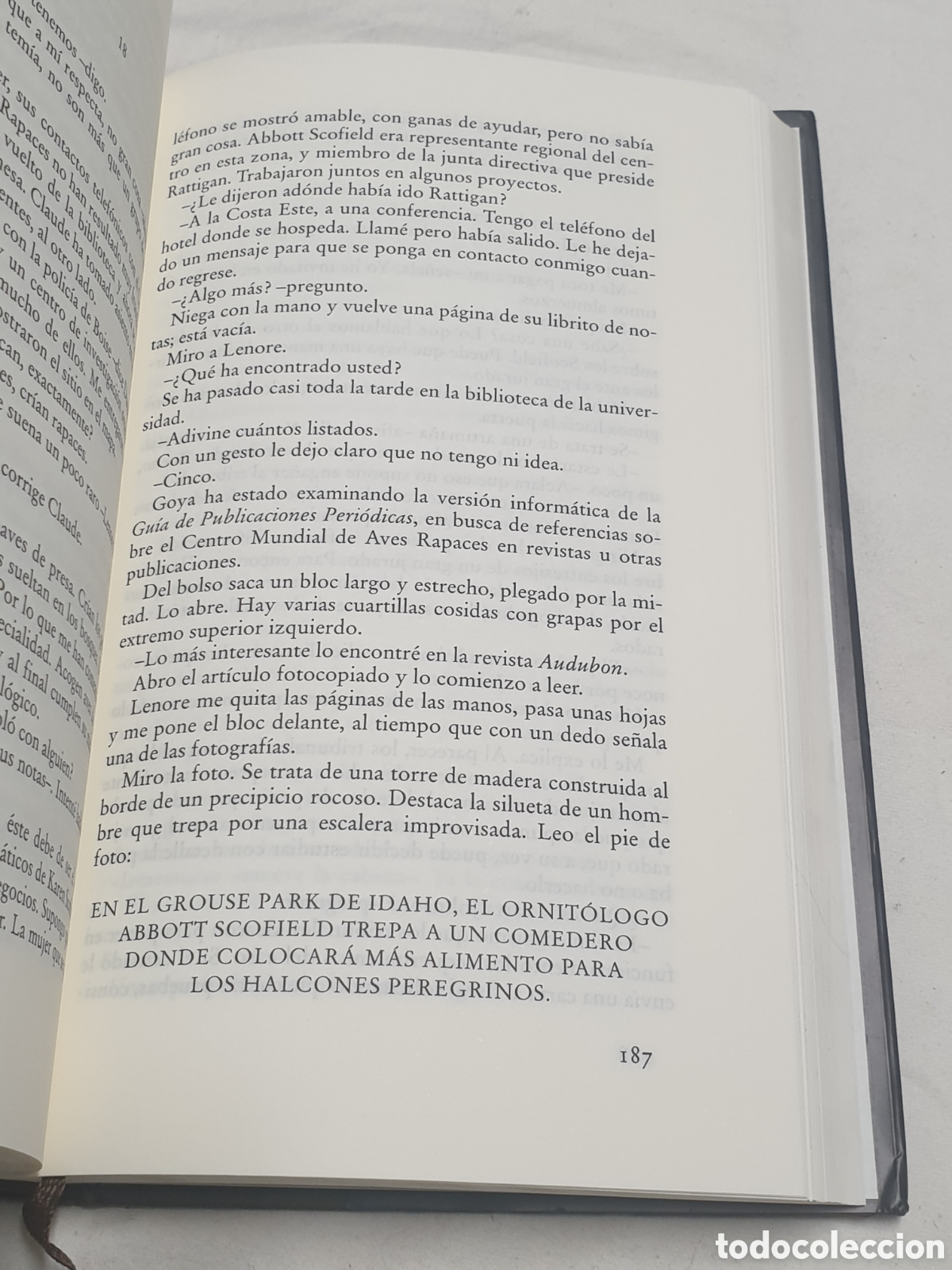 Libros de segunda mano: Steve Martini El testigo C&iacute;rculo de Lectores 1997 - Foto 4