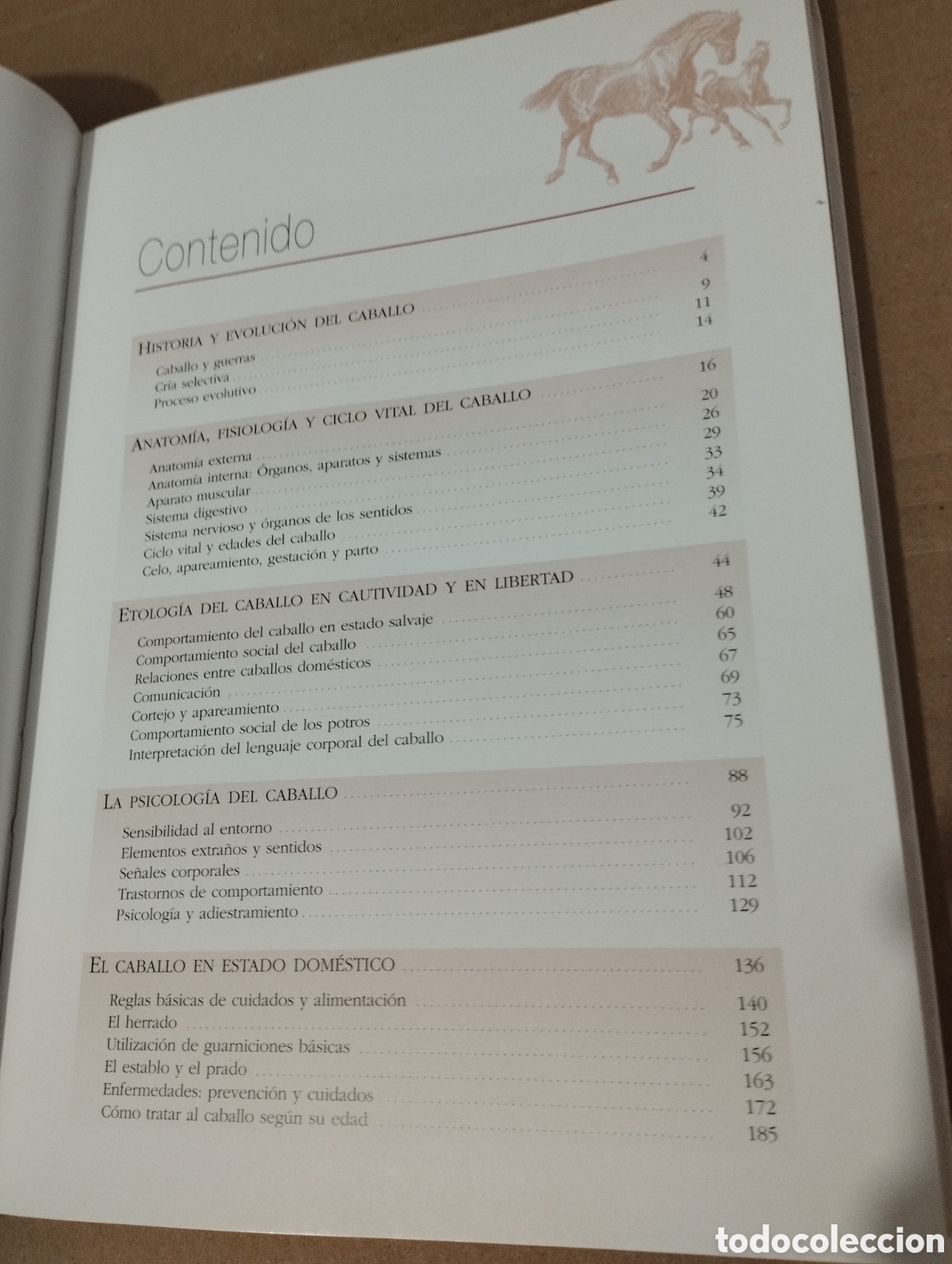 Libros de segunda mano: ENTENDER, EDUCAR Y CUIDAR A TU CABALLO (LUZ AGUILAR ESPINOSA) - Foto 3