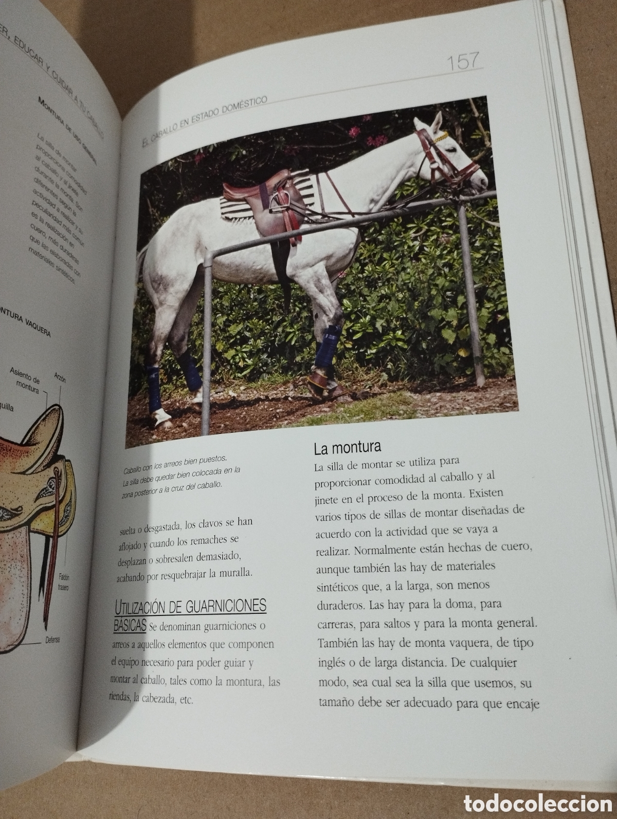 Libros de segunda mano: ENTENDER, EDUCAR Y CUIDAR A TU CABALLO (LUZ AGUILAR ESPINOSA) - Foto 4