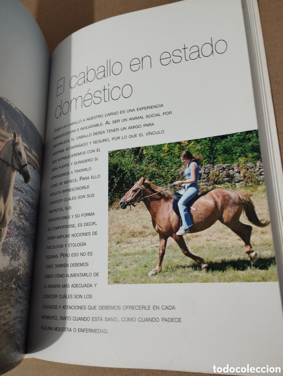 Libros de segunda mano: ENTENDER, EDUCAR Y CUIDAR A TU CABALLO (LUZ AGUILAR ESPINOSA) - Foto 6