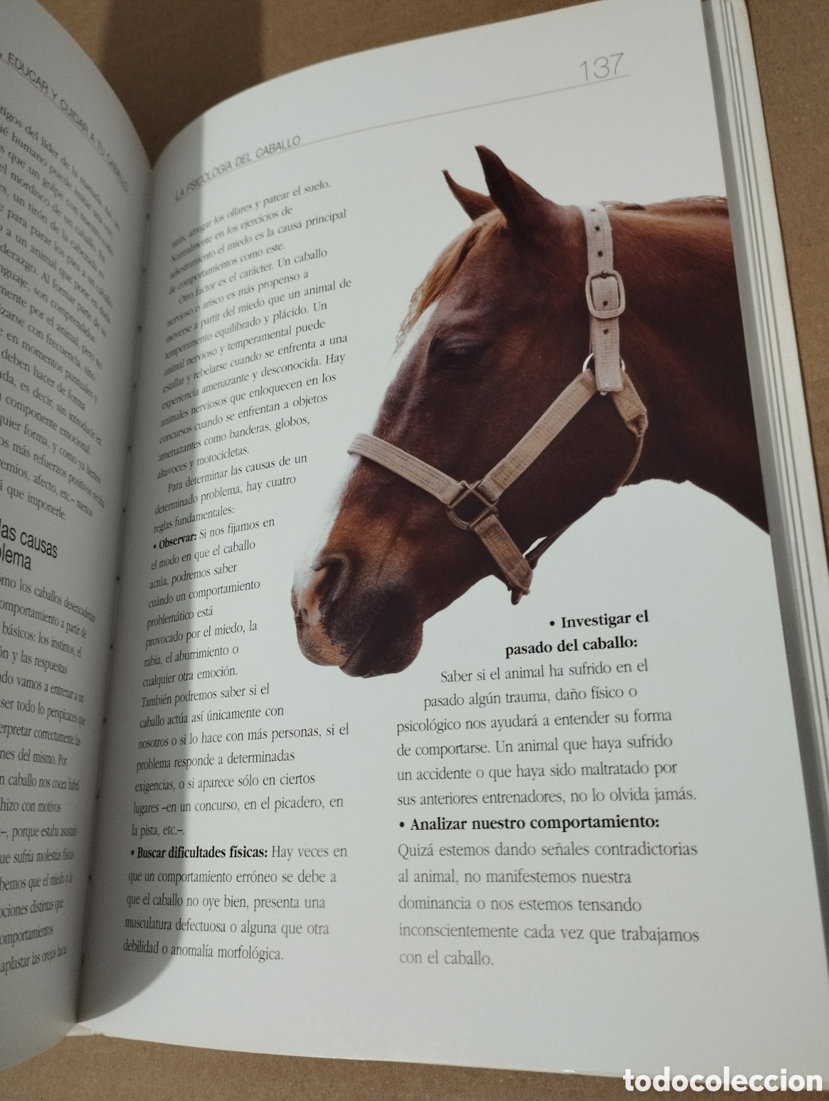 Libros de segunda mano: ENTENDER, EDUCAR Y CUIDAR A TU CABALLO (LUZ AGUILAR ESPINOSA) - Foto 7
