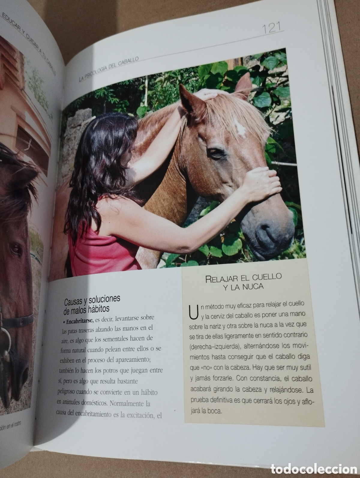 Libros de segunda mano: ENTENDER, EDUCAR Y CUIDAR A TU CABALLO (LUZ AGUILAR ESPINOSA) - Foto 8