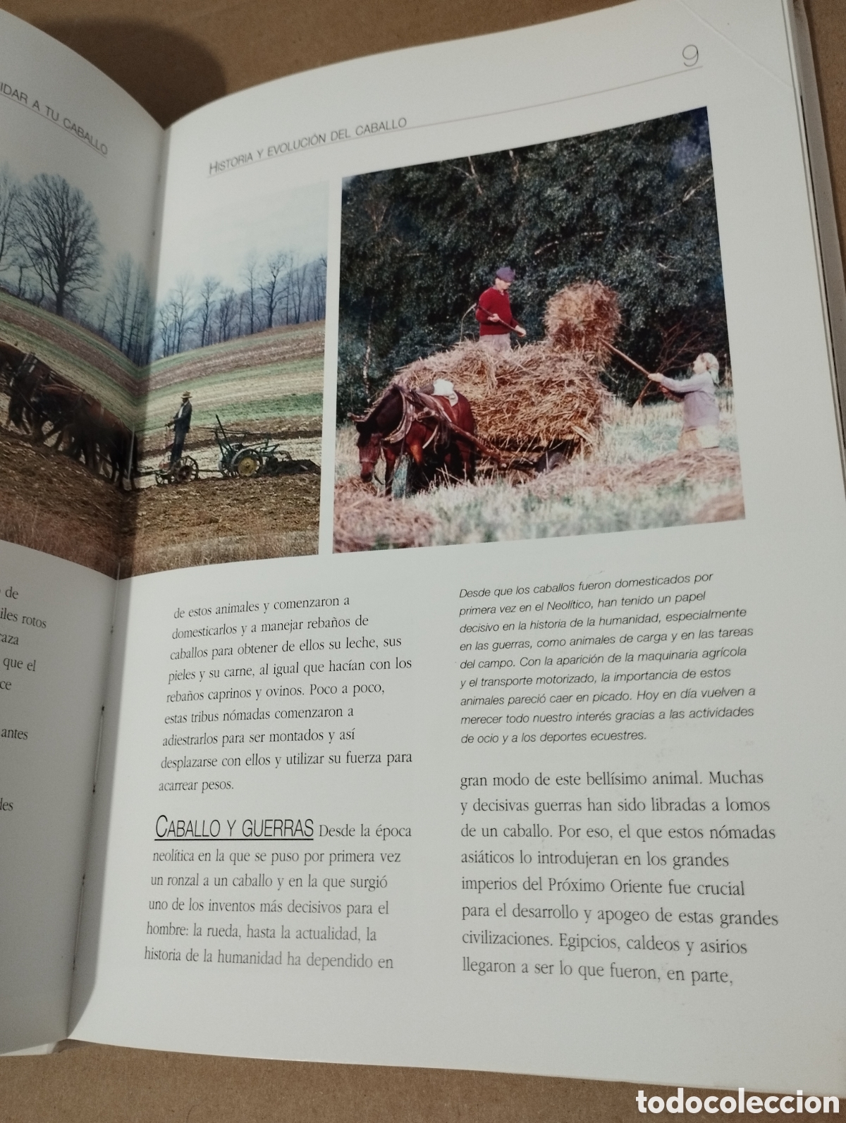 Libros de segunda mano: ENTENDER, EDUCAR Y CUIDAR A TU CABALLO (LUZ AGUILAR ESPINOSA) - Foto 16