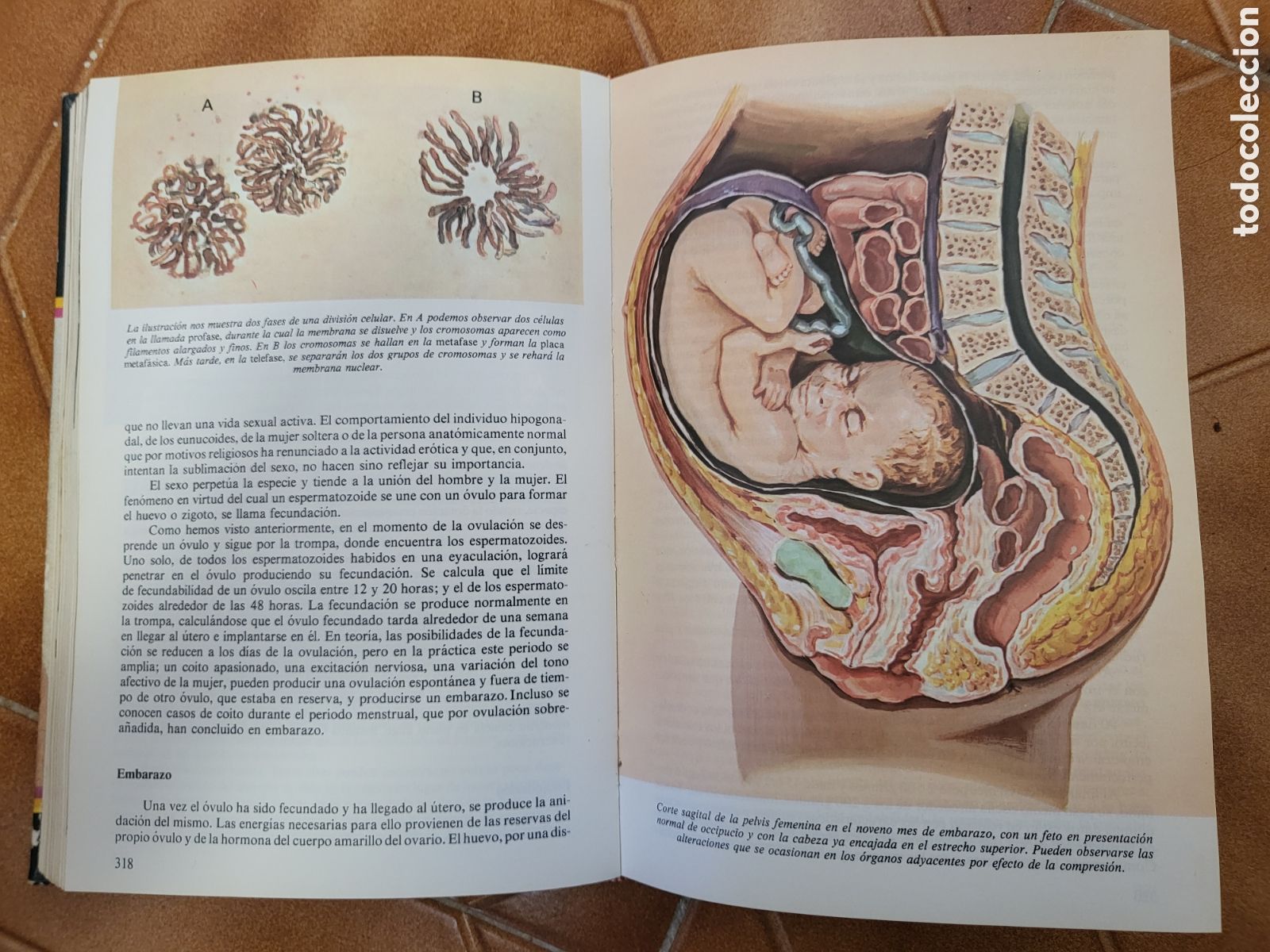 Libros de segunda mano: EL LIBRO DE LA VIDA SEXUAL - LOPEZ IBOR (1973) - Foto 3