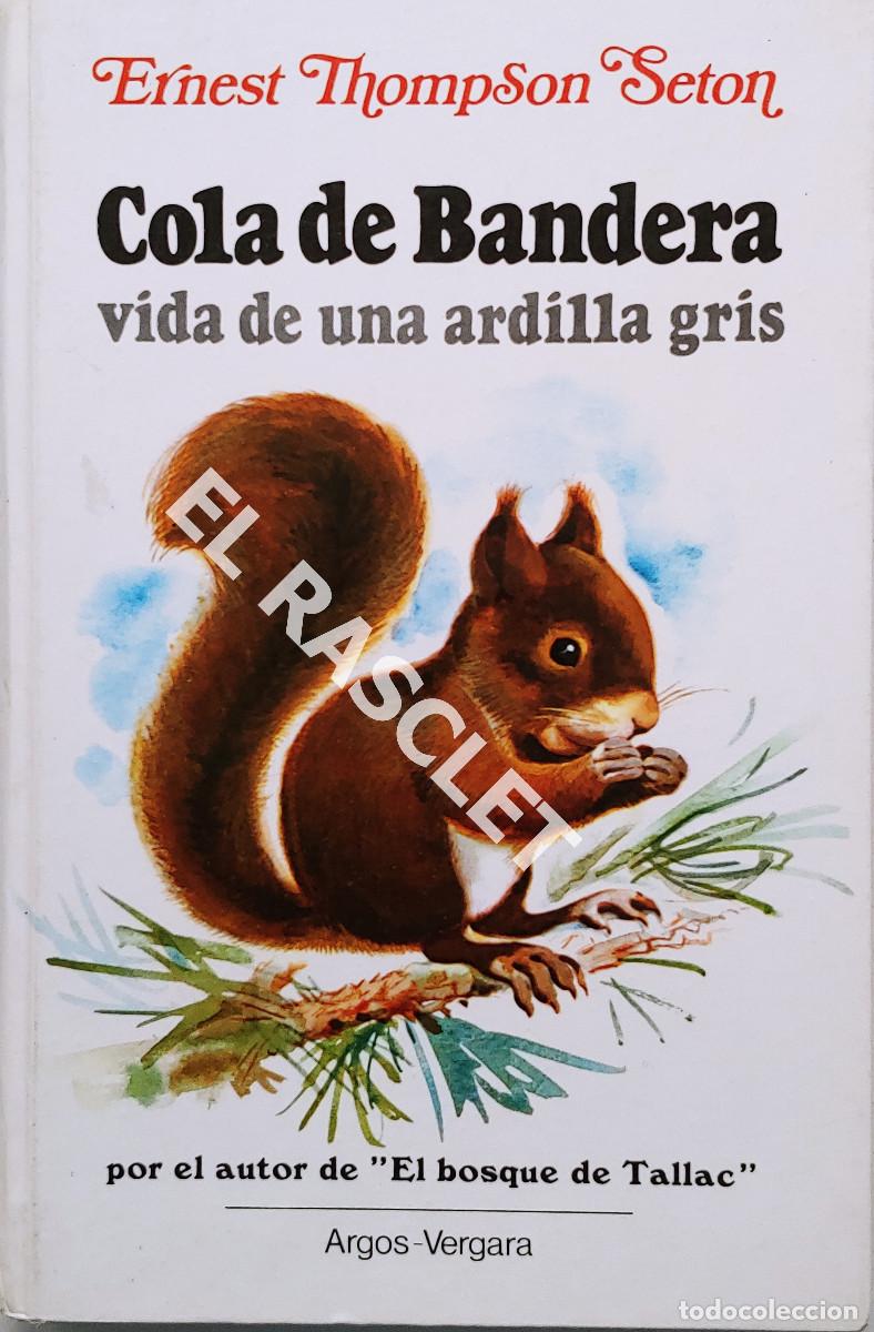 Libros de segunda mano: LIBRO INFANTIL JUVENIL -COLA DE BANDERA-VIDA DE UNA ARDILLA GRIS