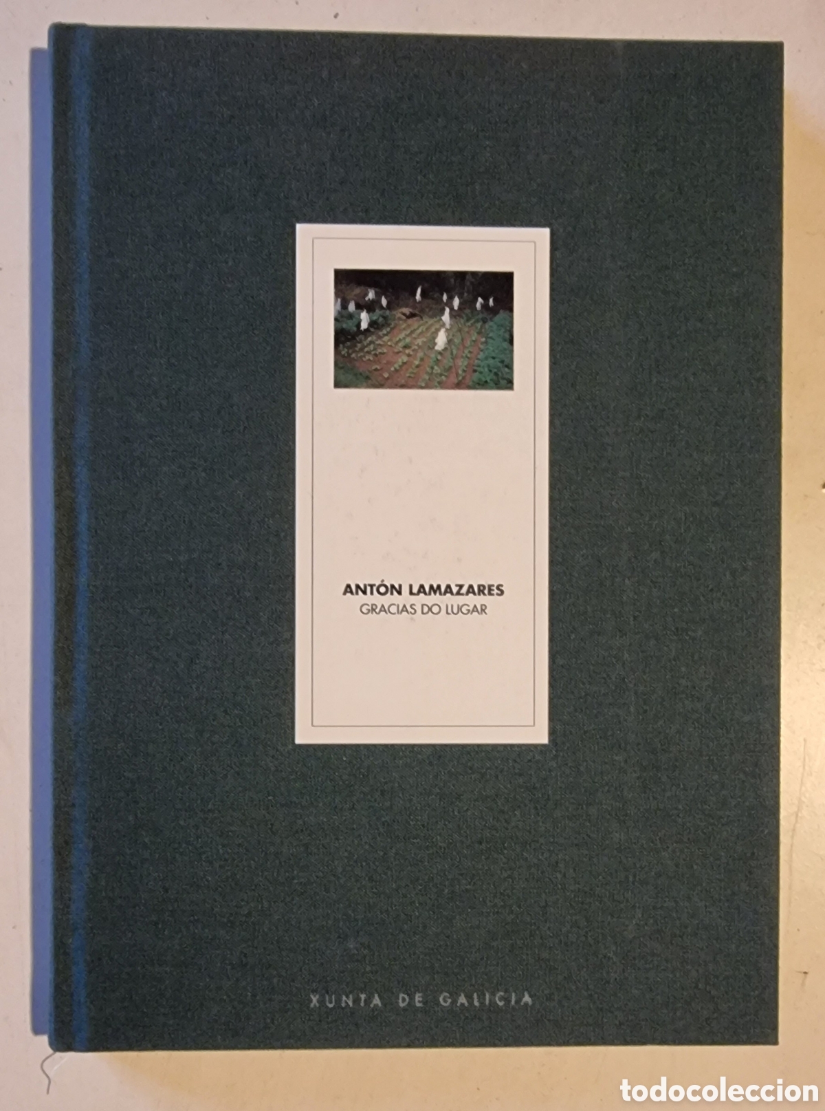 Libros de segunda mano: ANT&Oacute;N LAMAZARES - Foto 1