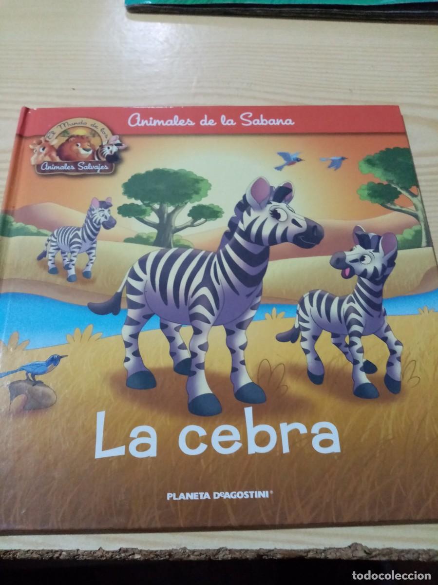 Livres d'occasion: EL MUNDO DE LOS ANIMALES SALVAJES. LA CEBRA. EST3B1