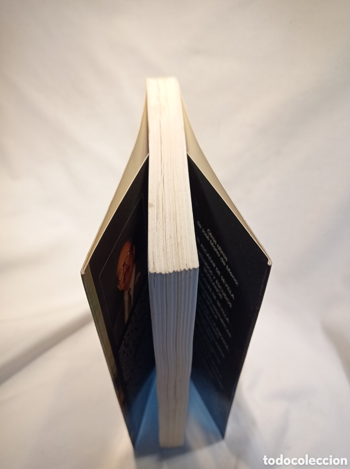Libros de segunda mano: HISTORIAS NOTABLES DE SEVILLA. - Foto 3
