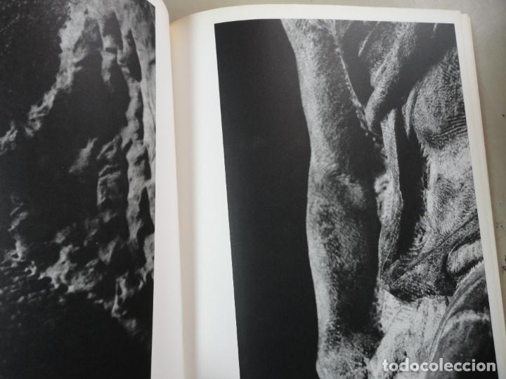 Libros de segunda mano: Miguel Angel de cerca (Mario Muchnik) - F5 - Foto 4