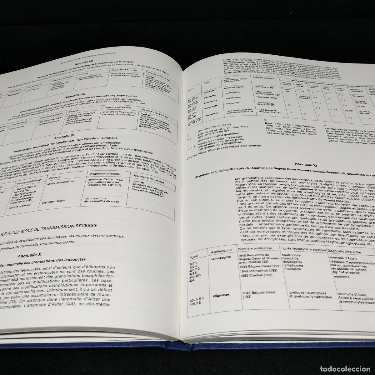 Libros de segunda mano: PLANCHES DH&Eacute;MATOLOGIE SANDOZ - SANDOZ / 25.718 - Foto 5
